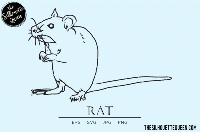 Rat Vector