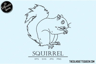 Squirrel Vector