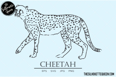 Cheetah Vector