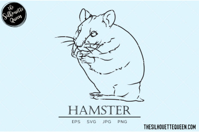 Hamster Vector