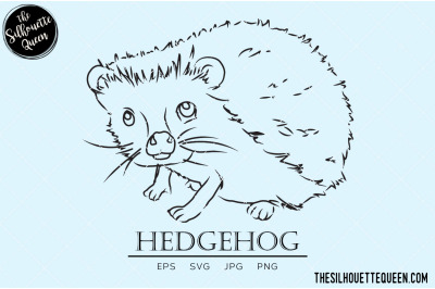 Hedgehog Vector