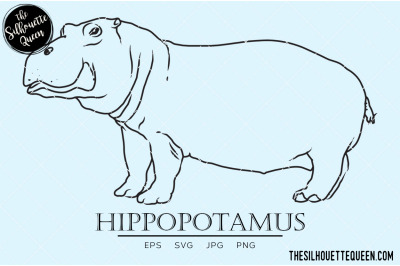 Hippopotamus Vector