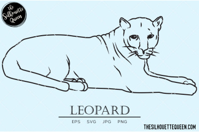 Leopard Vector