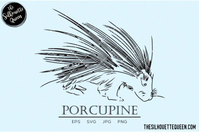 Porcupine Vector