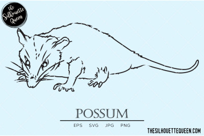 Possum Vector