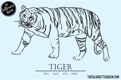 Tiger Vector