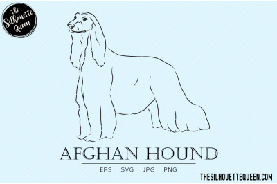 Afghan Hound Sketch