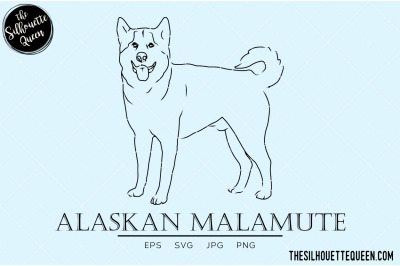 Alaskan Malamute Sketch