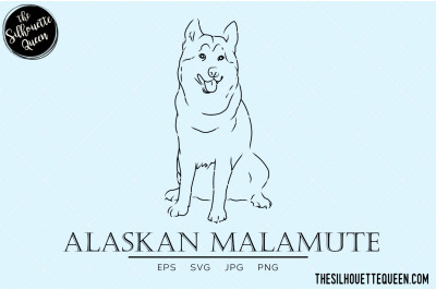 Alaskan Malamute Sketch