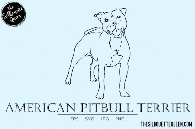 American Pitbull Terrier Sketch