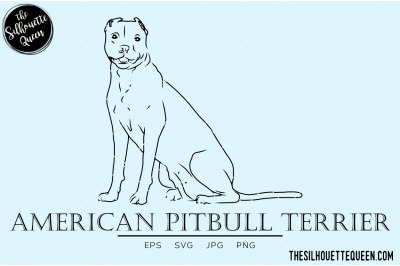 American Pitbull Terrier Sketch