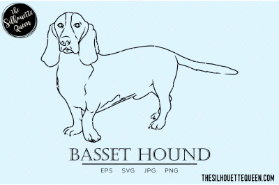 Basset Hound Sketch