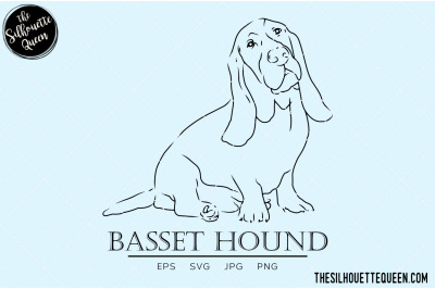 Basset Hound Sketch