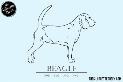 Beagle Sketch