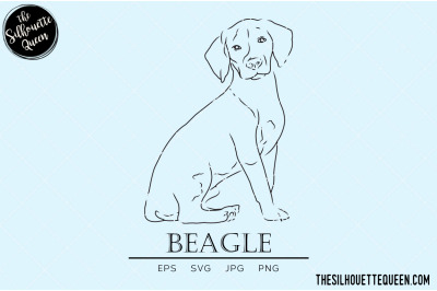 Beagle Sketch