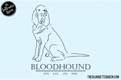 Bloodhound Sketch