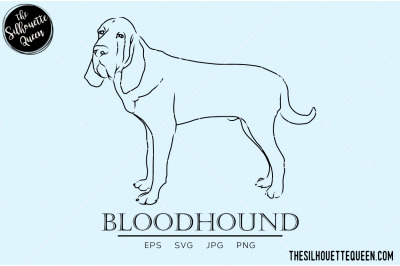 Bloodhound Sketch