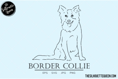 Border Collie Sketch