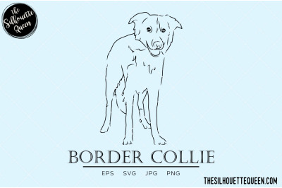 Border Collie Sketch