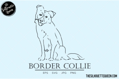 Border Collie Sketch