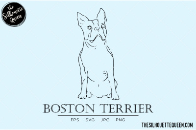 Boston Terrier Sketch