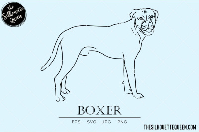 Boxer Sketch