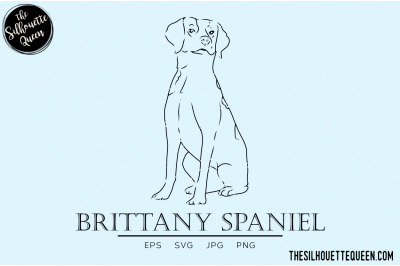 Brittany Spaniel Sketch