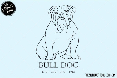 Bull Dog Sketch