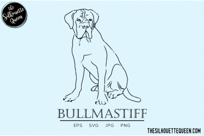 Bullmastiff Sketch