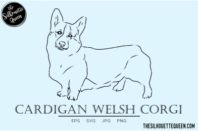 Cardigan Welsh Corgi Sketch