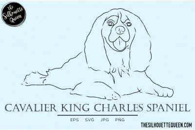 Cavalier King Charles Spaniel Sketch