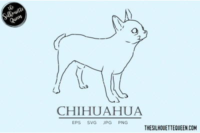 Chihuahua Sketch