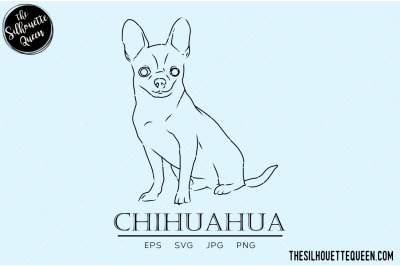 Chihuahua Sketch