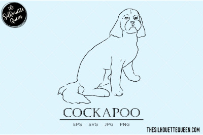 Cockapoo Sketch