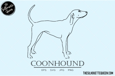 Coonhound Sketch