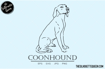 Coonhound Sketch