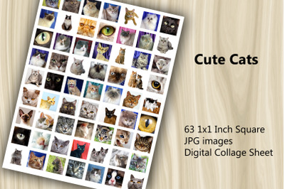 Digital Collage Sheet - Cute Cats