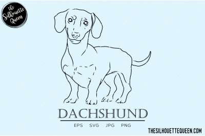 Dachshund Sketch