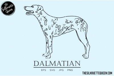 Dalmatian Sketch