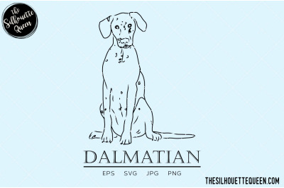 Dalmatian Sketch