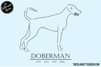 Doberman Sketch