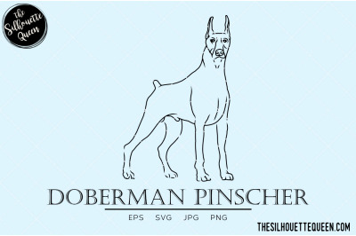 Doberman Pinscher Sketch