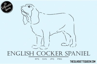 English Cocker Spaniel Sketch