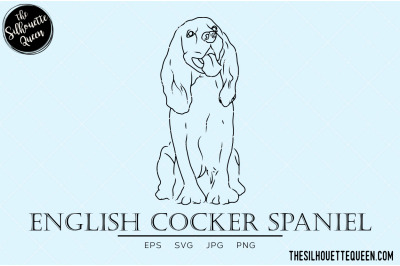 English Cocker Spaniel Sketch