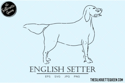 English Setter Sketch