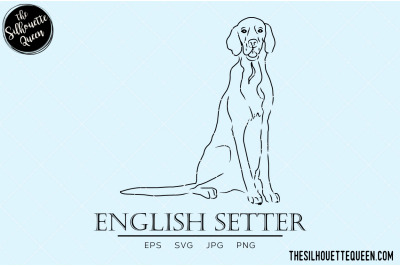 English Setter Sketch