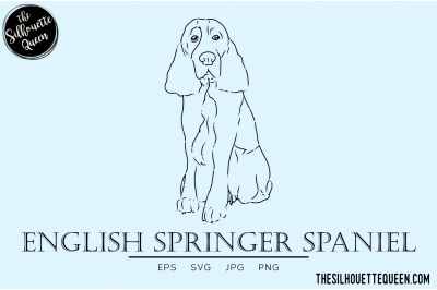 English Springer Spaniel Sketch