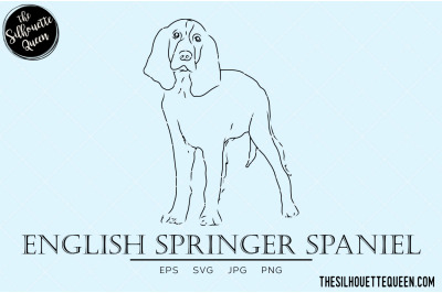 English Springer Spaniel Sketch