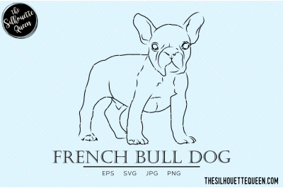 French Bull Dog Sketch