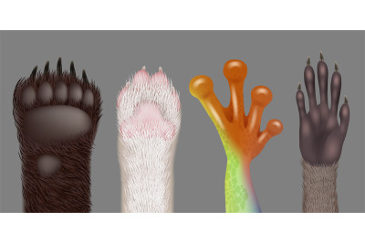 Paw realistic. Wild animals paws cat dog bear frog racoon decent vecto